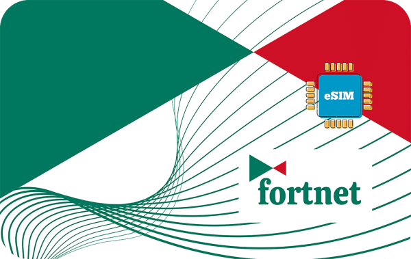Fortnet 1 GB - 7 Days