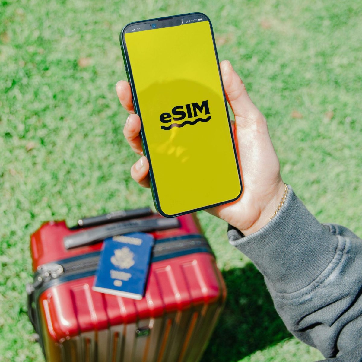 pexels-jacob-2102693-20805601